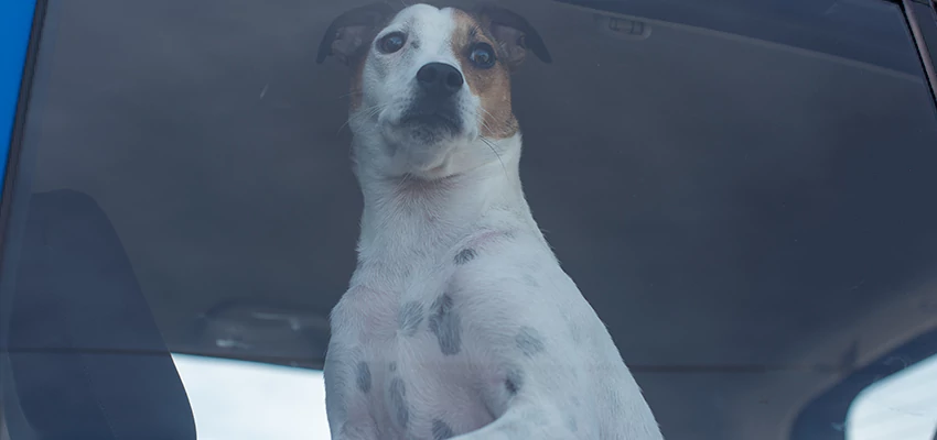 Car Lockout Solutions in Yucca Valley, California